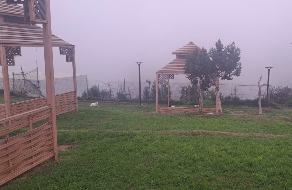 البيئات الجبلية تمثل ثروة سياحية هائلة في بعض الدول