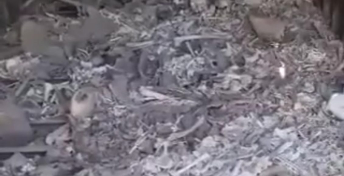 محرقة بشرية