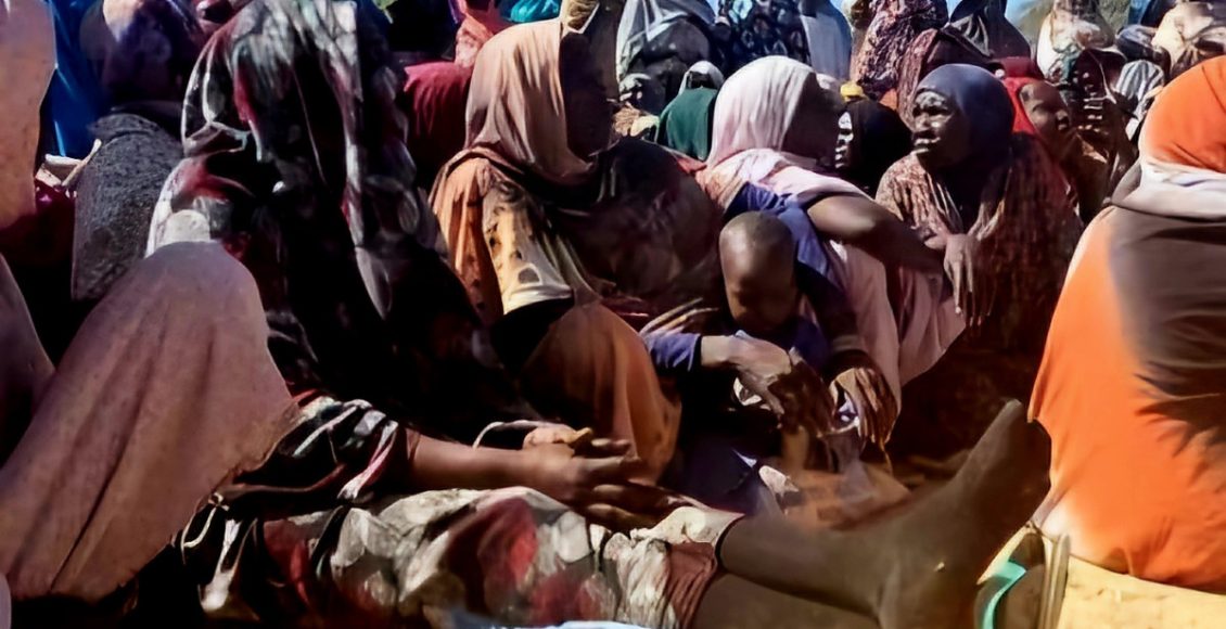 مفوضية العون الإنساني بولاية شمال دارفور