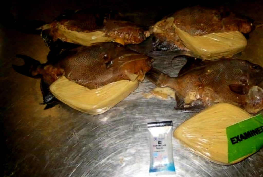 أغرب أساليب التهريب
