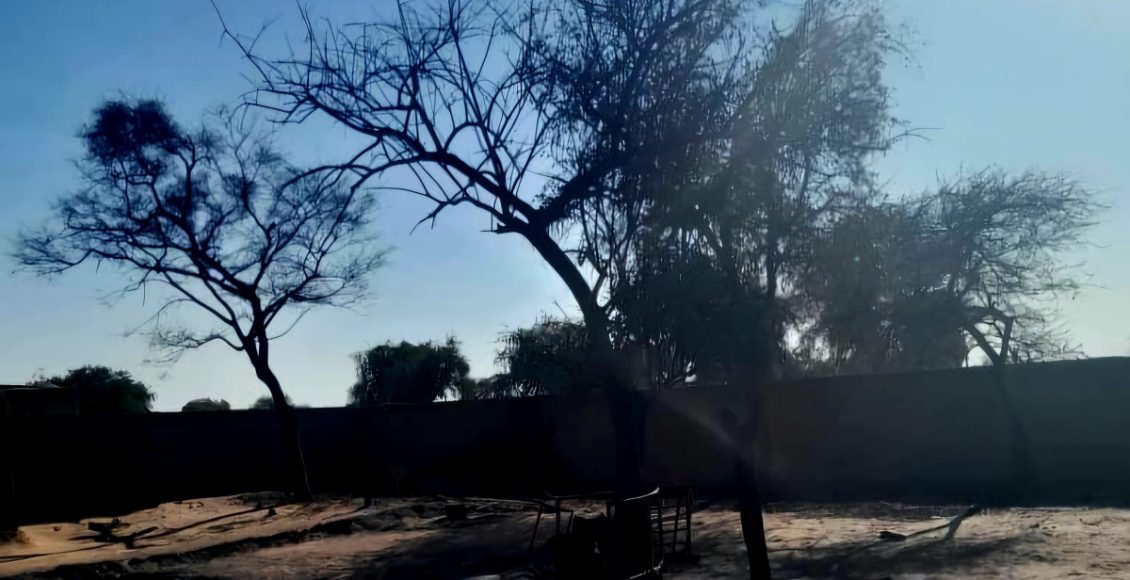 آخر التطورات في شمال دارفور