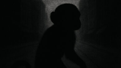 السلطات في كارولينا الشمالية