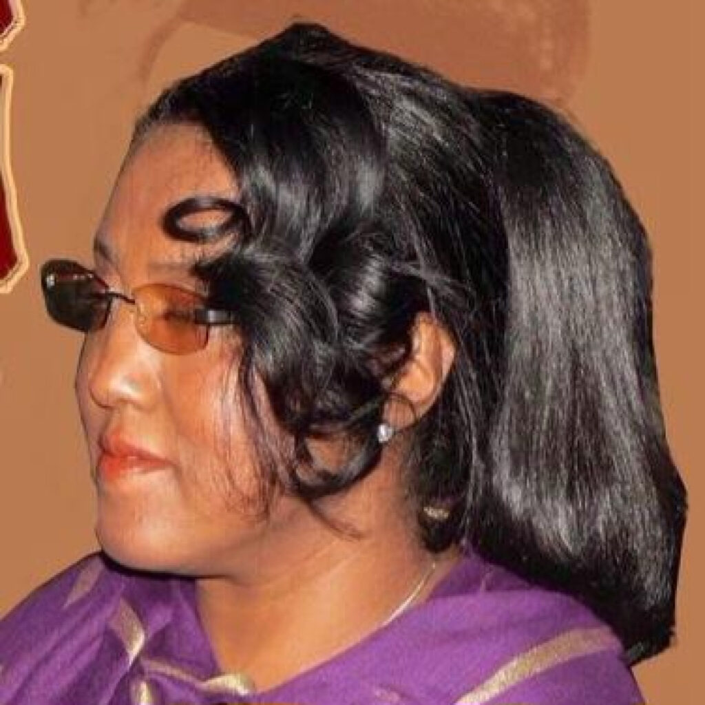 الأمسية الفنية ببيت السودان بمدينة قرينزبورو