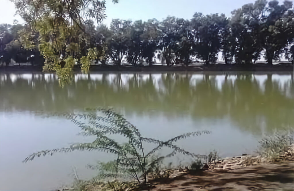 أنظمة الإنذار المبكر