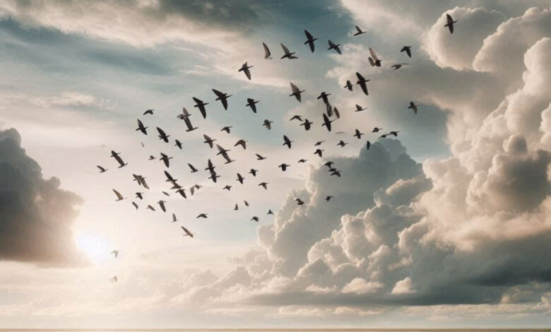 توقعات الطقس الأسبوعية في السودان