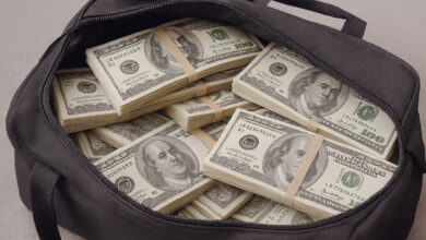 الاستثمار الناجح