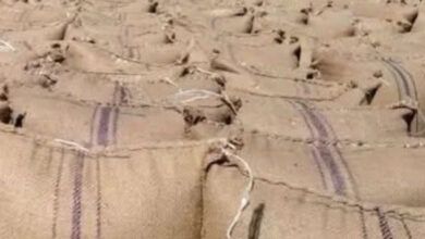 النزوح في شمال كردفان