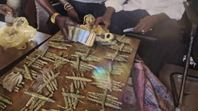 مخدر البنقو