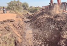 مشروع الجزيرة