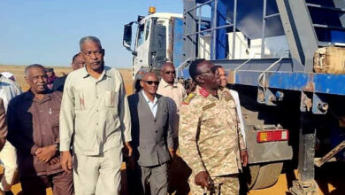 حكومة ولاية النيل الأبيض