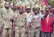 لجنة حقوق الإنسان في جنوب السودان