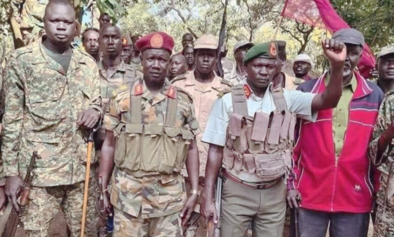 لجنة حقوق الإنسان في جنوب السودان