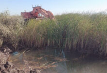 البنك الزراعي السوداني