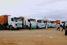 الإغاثة الإنسانية لمدينتي الدلنج وكادوقلي