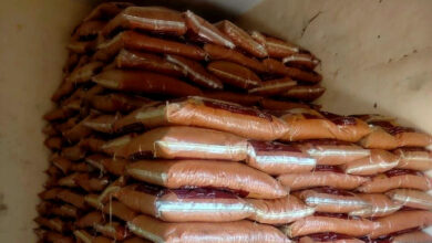 الإدارة العامة لمباحث التجارة والتموين