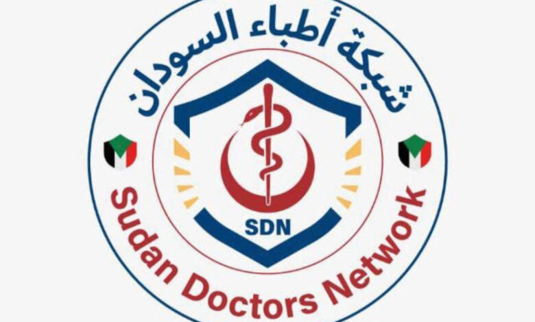 الطائرات المسيرة في السودان