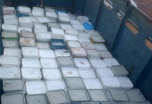 الجبن الفاسد