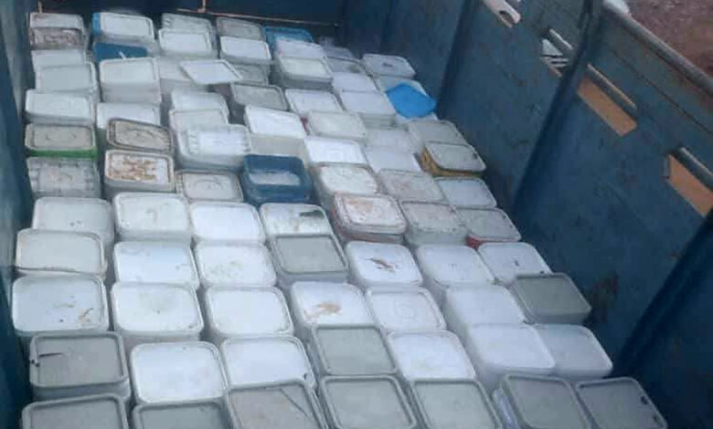 الجبن الفاسد