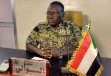 المنظمات في ولاية النيل الأبيض