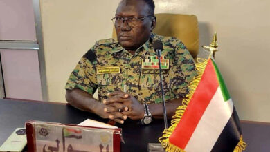 المنظمات في ولاية النيل الأبيض