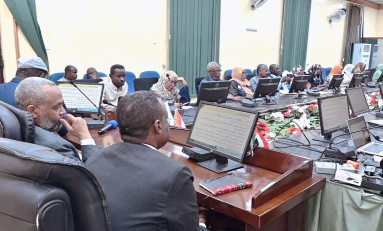 الوضع الصحي في السودان