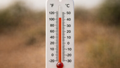 الحرارة والأمطار في السودان