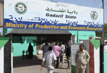 والي القضارف المكلف