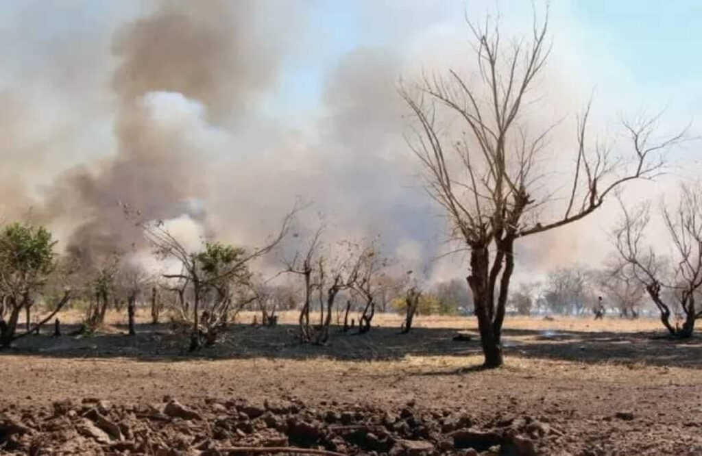 وَحدة السودان