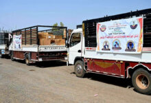 الشركة السودانية للموارد المعدنية