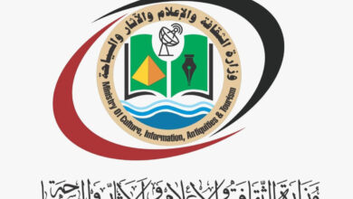 قناة فضائية