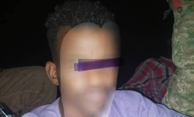 تجارة الموت