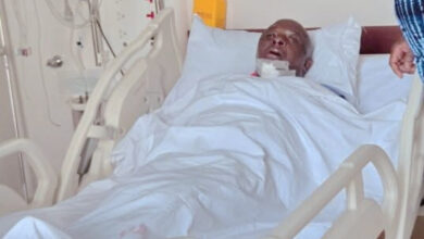 مطاردة دولية