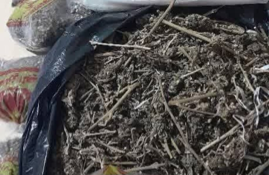 مروجي السموم بالقضارف