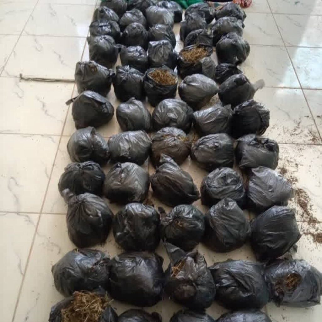مروجي السموم بالقضارف